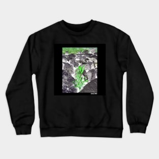 just leaf in ecopop negative photo cam wallpaper art Crewneck Sweatshirt